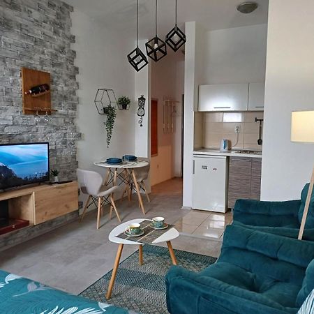 Apartment Centrum - Free Private Parking نوفي ساد المظهر الخارجي الصورة